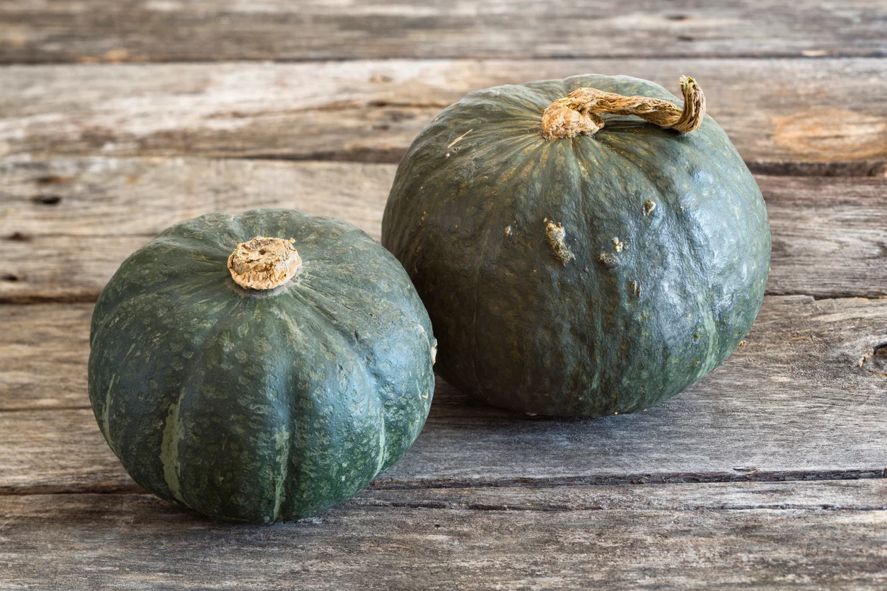 Squash, Buttercup