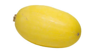 Squash, Spaghetti