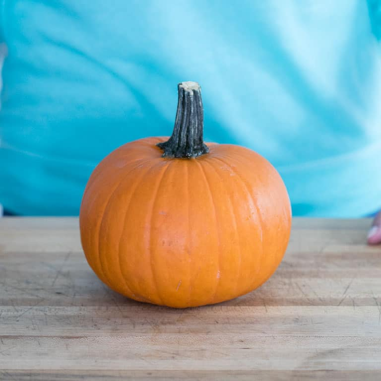 Pumpkin, pie sized