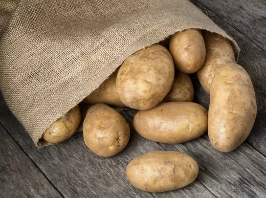 Potato, Russet