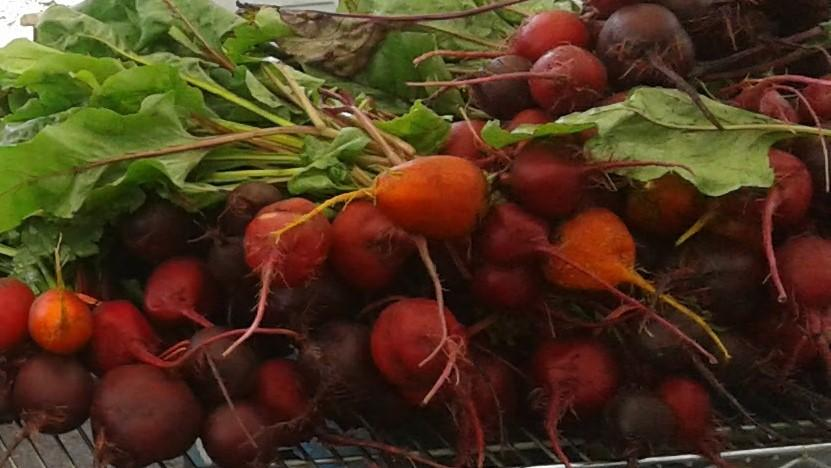 Beets, Red
