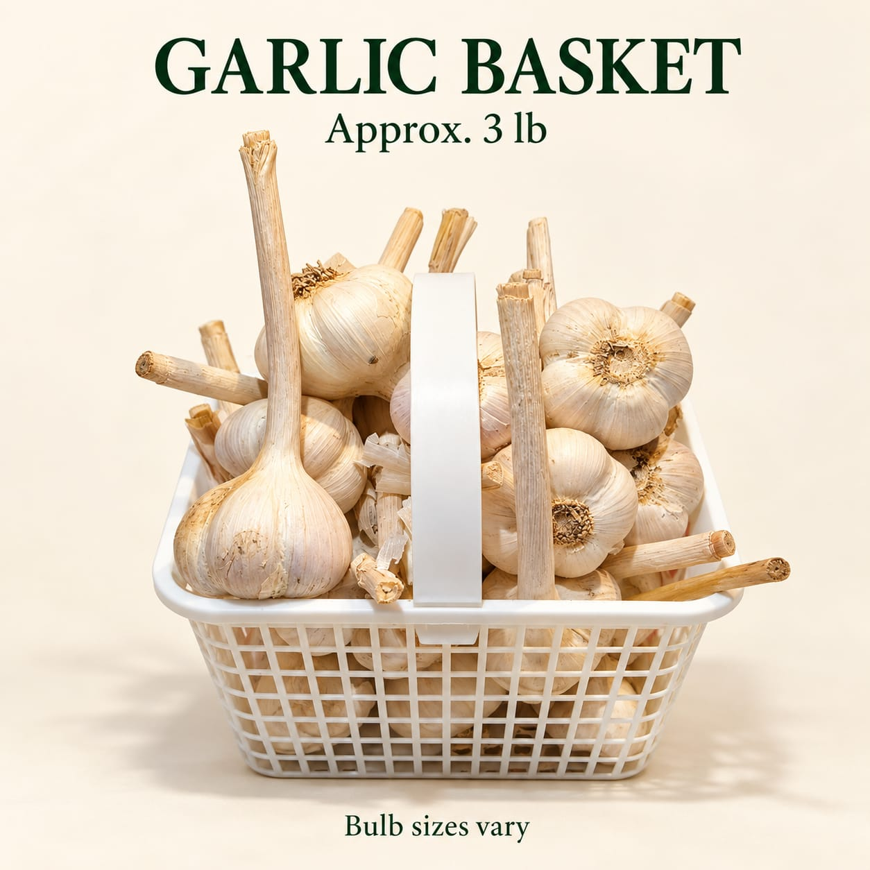 Garlic Basket